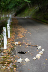 陥没し穴のあいた道路
