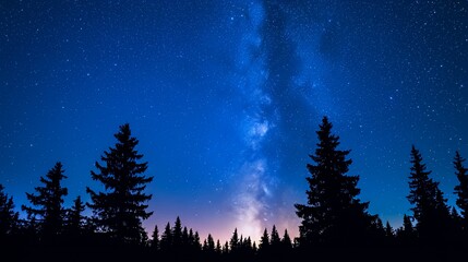 Fototapeta premium A serene night sky filled with stars and the Milky Way, framed by silhouetted trees.