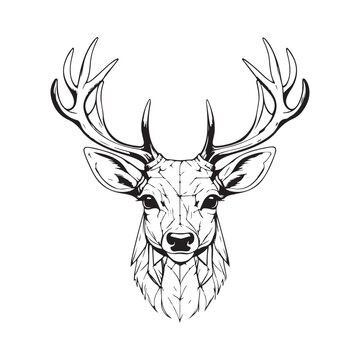 recommend clip art: line art Deer on white background. sketch style. Vector graphic icon animal.