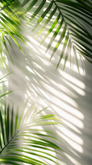 A leafy green palm tree casts a shadow on a white wall. The shadow is long and thin, stretching across the wall. Concept of calm and relaxation, as the palm tree's leaves