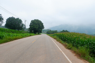 road in the countryside