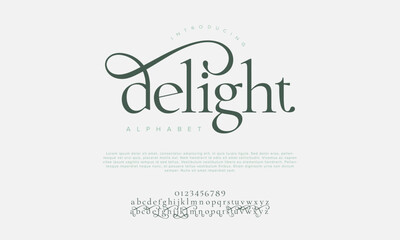 Delight swash luxury elegant alphabet letters and numbers. Vintage wedding typography classic serif font decorative vintage retro. creative vector illustration