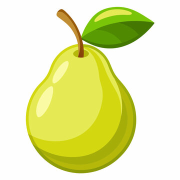 recommend clip art: Pear cartoon isolated on white, pear vector illustration, pear vector art, pear silhouette, food icon, pears line art, eps
                    