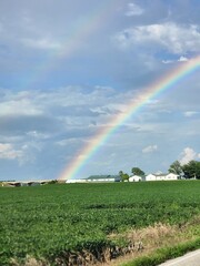 rainbow over field