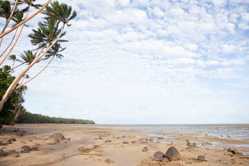 Tall palm trees on the beach, Fiji