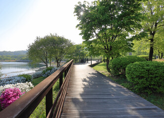 Yeongtong-gu, Suwon-si, Gyeonggi-do, South Korea - May 1, 2022: Morning view of wooden deck trail with handrail amid trees at Gwanggyo Lake Park of Gwanggyo New Town in spring