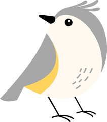 Hand Drawn Bird Illustration