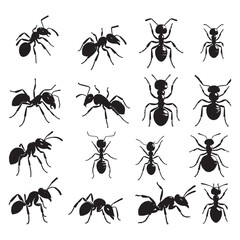 set of ant silhouettes on white background	