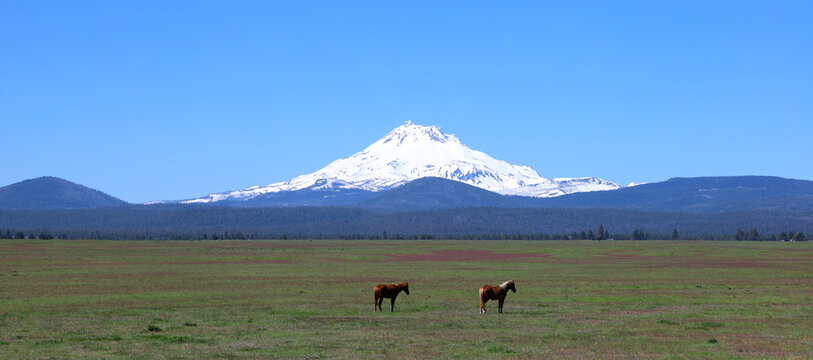 Mt Jefferson: Panoramic view of part of the cascade range from central Oregon