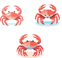Illustration Animal