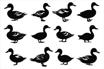 Duck Silhouette Bundle Set on a White Background