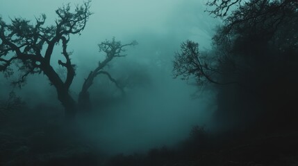 A misty forest scene with dark, twisted trees and a mysterious atmosphere.