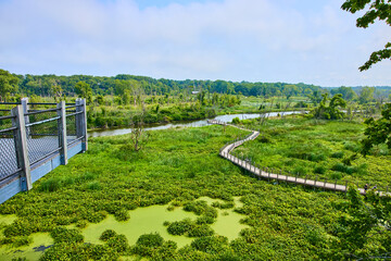 Serpentine Boardwalk in Lush Wetland Aerial Fly Through