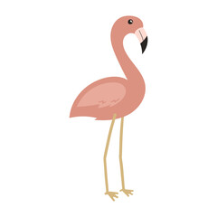 pink flamingo