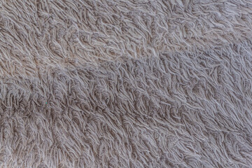 Texture of the carpet or rug is soft and fluffy cream colored