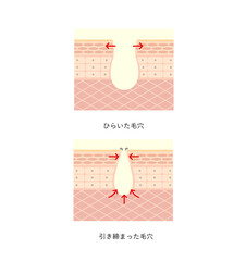 図版_肌図版_004_毛穴のひらきと引き締め