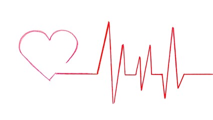 A handmade illustration of a cardiogram emerging from an open heart, with the distinctive peaks and valleys of a heart rate graph flowing outward, symbolizing life, isolated on white background. 