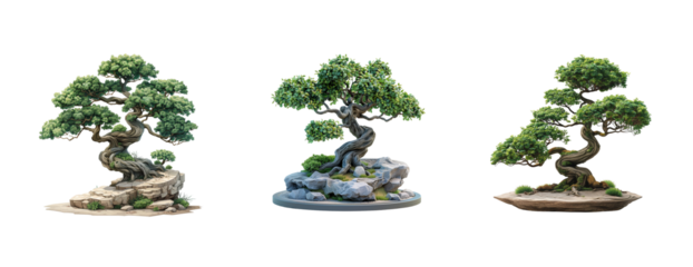 3D vector icon of Isometric bonsai on a white background, with no shadows or gradients and a flat design, 2D illustration in the style of simple shapes and colorful vector graphics.