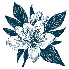 Aesthetic Beautiful Alstroemeria Flower and Leaves Graphic Silhouette Vector Files