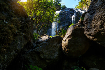 Obraz premium Waterfall in forest, tropical jungle