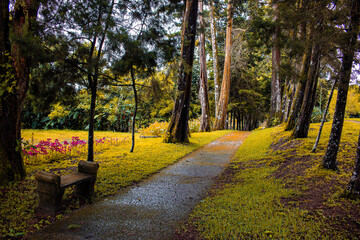 Jardin Hermoso