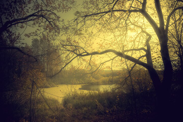 Obraz premium Autumn colors. Autumn time. Autumn forest with the pond. Magnificent landscape.