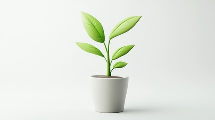 Small Green Plant In White Pot