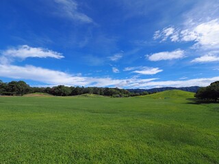 国営讃岐まんのう公園2024年7月【香川県仲多度郡まんのう町】15