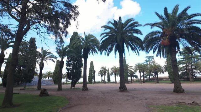 Walking along palm trees on top of the Badajoz Castle, Spain