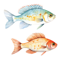 Fototapeta premium watercolor painting of sea fish four collection isolated