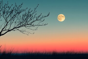 An emotional photo of the silhouette of tree branches with no winter or spring leaves visible, with the moon visible in the dark sky.