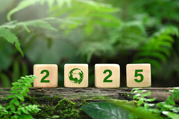 2025 New Year concept. Wooden cube with the word 2025 and green world icon.Sustainable environment...
