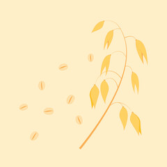 Oat spica and grains. Texture graphic set. Organic farm food and bio milk. Detailed hand drawn vector sketch