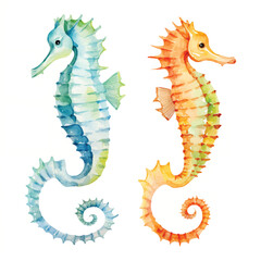 watercolor painting of Seahorses four collection