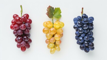 Three types of Japanese grapes on a white background