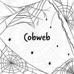 cobweb illustration with spiders in flat style design