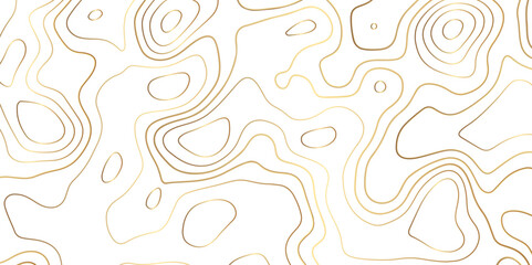 Topography or topology map texture contour vector abstract background digital wallpaper for desktop