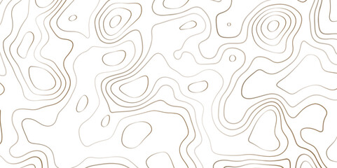 Topography or topology map texture contour vector abstract background digital wallpaper for desktop