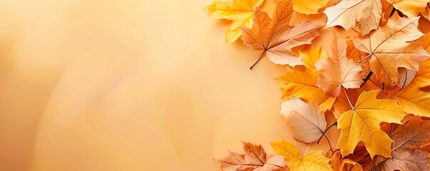 Autumn leaves in warm tones create a serene and cozy atmosphere, perfect for seasonal themes and backgrounds.