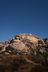 Fototapeta premium red rock canyon