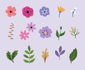 Set of purple and pink flowers