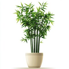 Vector Graphic of a Potted Bamboo Plant