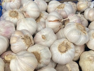 flower,red,green,leaf,pink