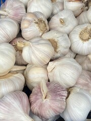 flower,red,green,leaf,pink
