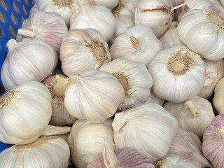 flower,red,green,leaf,pink