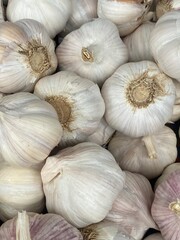 flower,red,green,leaf,pink