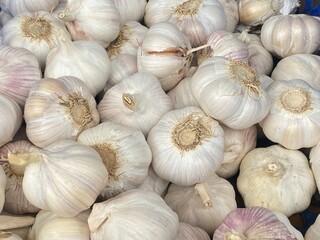 flower,red,green,leaf,pink