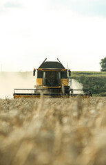 Fototapeta premium combine harvester works in the field