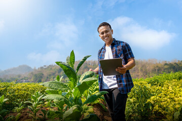 A man is standing in a field of plants, holding a tablet