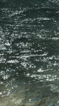 fast river with dark water, a large salmon jumps high out of water against the background of a shore covered with gray stones